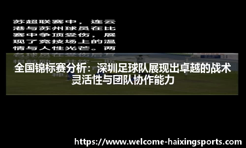 海星体育官网